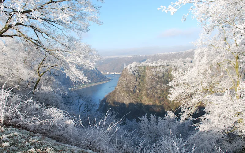 Cruise along the Rhine River