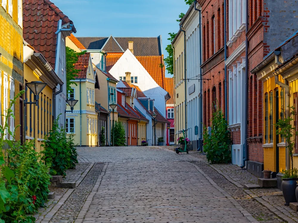 Odense-Denmark-street-swiper-hero-gallery