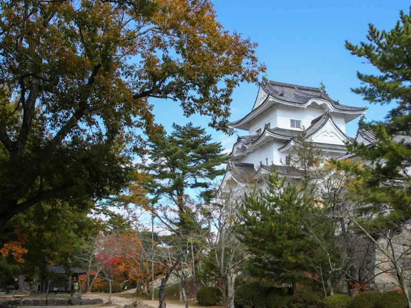 iga-ueno-castle-iga-ninja-museum-japan