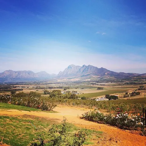 western-cape-wine-farms-south-africa-Instagram-_gregoryfleming