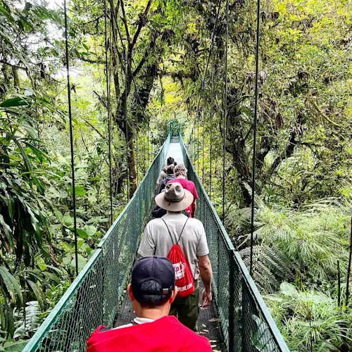 monteverde-costa-rica-cloud-forest-tour-_zemaexpatleader