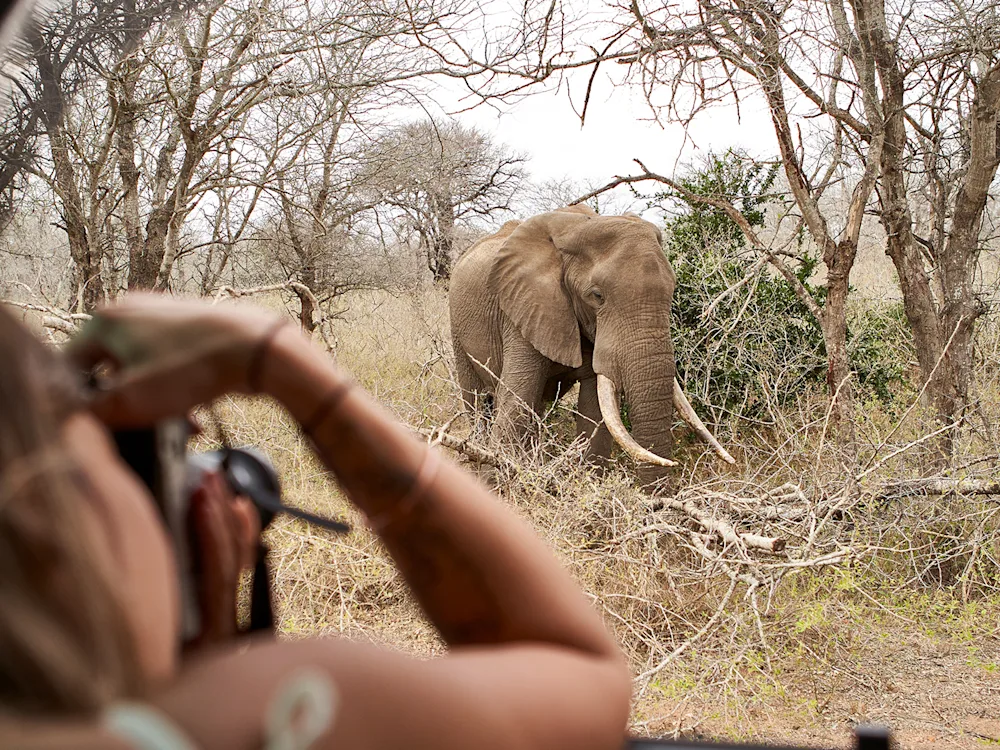 woman-taking-picture-elephant-kruger-nationa-park-south-africa-swiper-hero-gallery