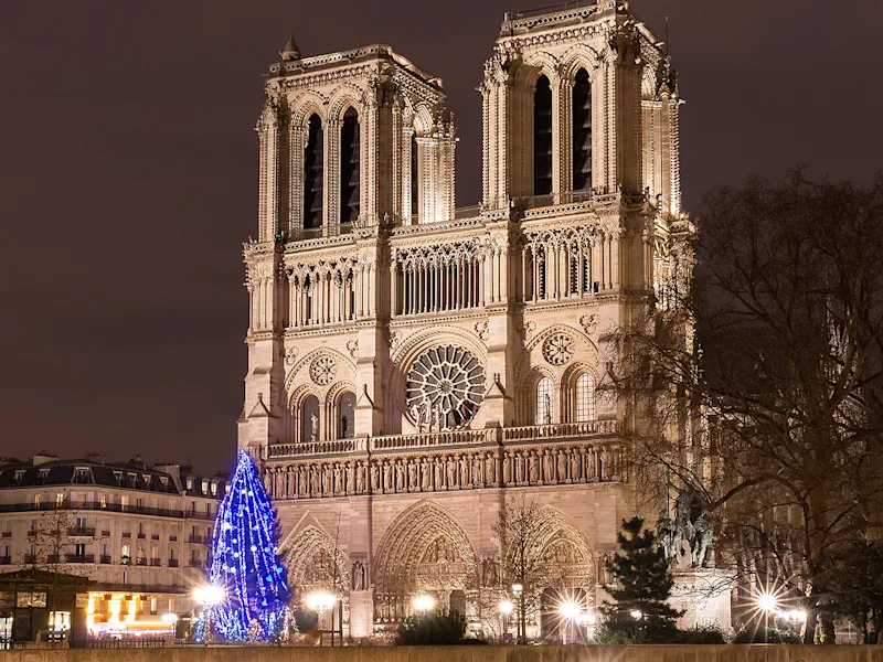 paris-france-notre-dame-winter-christmas-tree