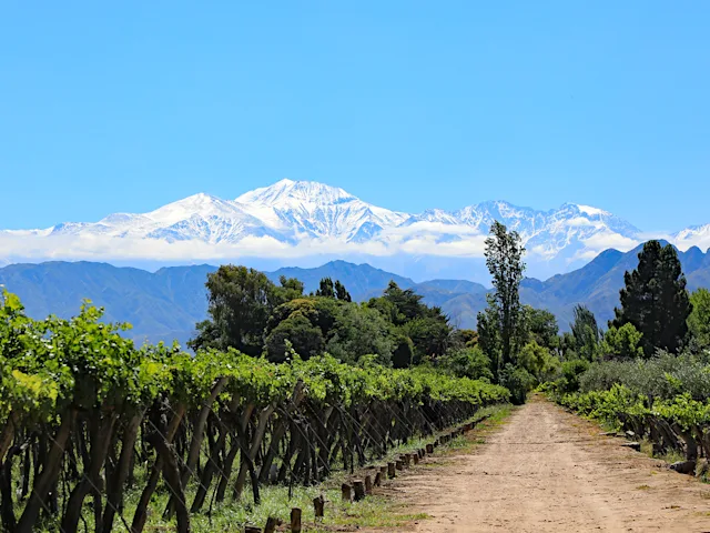 mendoza-vineyard-wine-argentina-swiper-hero-gallery