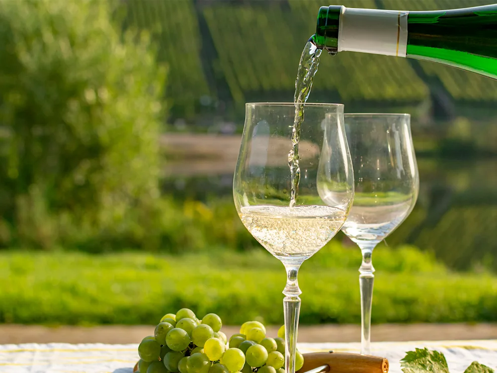 Rhine-Valley-wine-tasting-swiper-hero-gallery