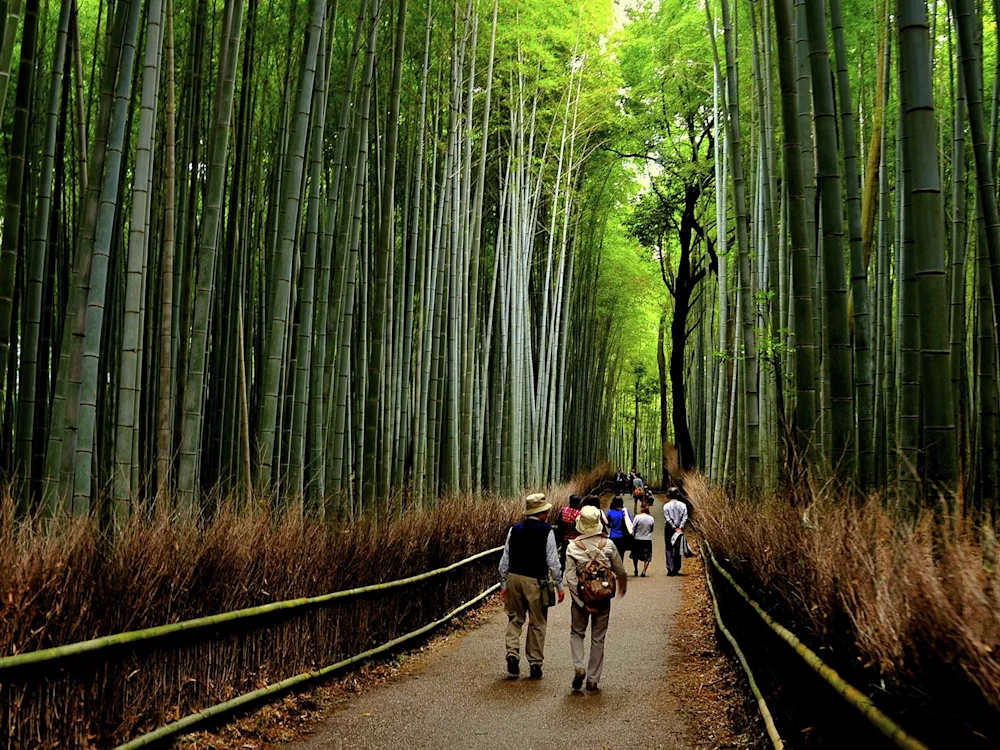 Japan-Arashiyama-Bamboo-Forest