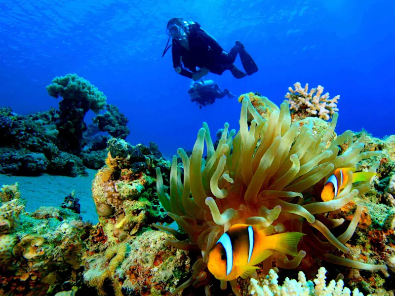 day7-egypt-hurghada-diving-red-sea-egypt-nile-jewel