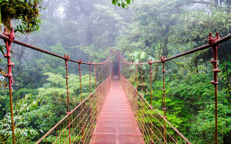 Hanging Bridges & Sloth Sanctuary