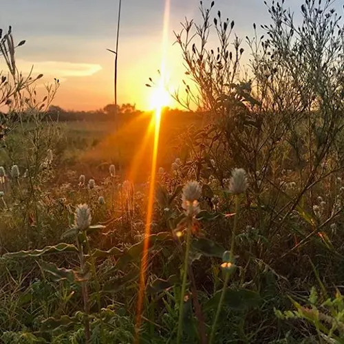 kruger-national-park-south-africa-Instagram-_ingridvdwalt