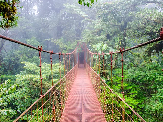 hanging-bridges-monteverde-costa-rica-swiper-hero-gallery