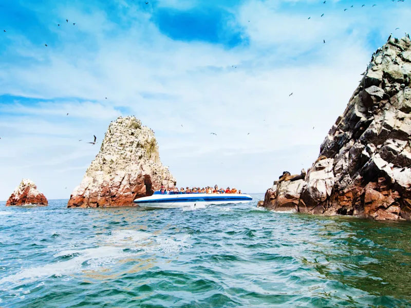 Ballestas-Island-Optional