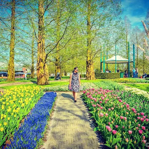 Amsterdam-_simoncorpusfamilytravels