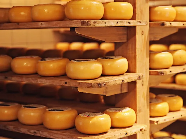 dutch-cheese-stacked-netherlands-swiper-hero-gallery