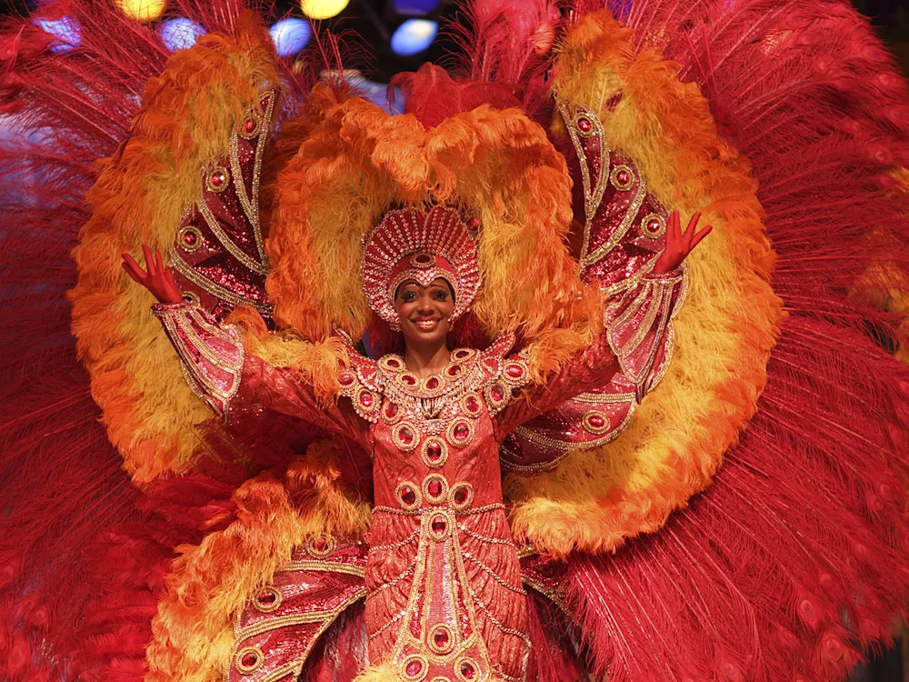 Rio-Carnival-brazil-costume-swiper-hero-gallery