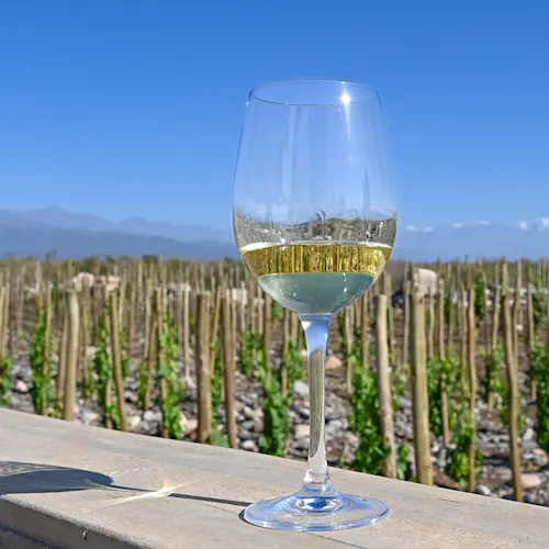 Mendoza-winelands-Argentina-instagram-_expatexplore
