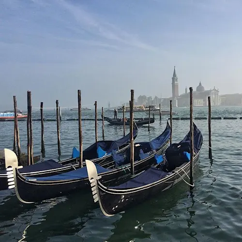 Venice-_janvique