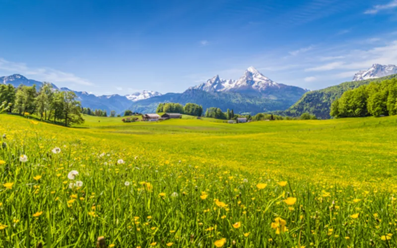 Sound of Music Tour