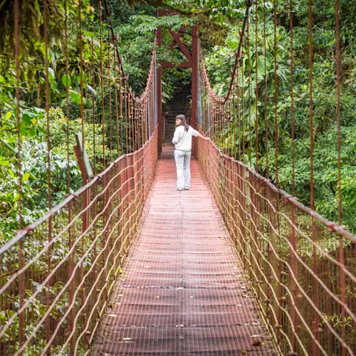 Monteverde_Hanging-Bridges-_expatexplore