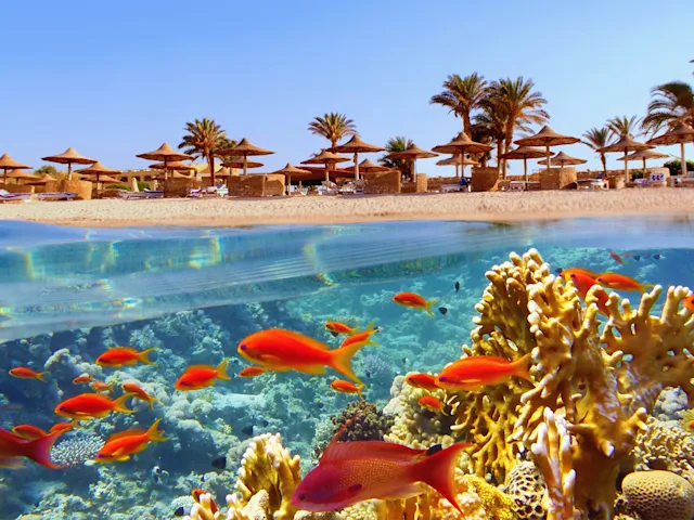 red-sea-coral-reef-beach-egypt-swiper-hero-gallery