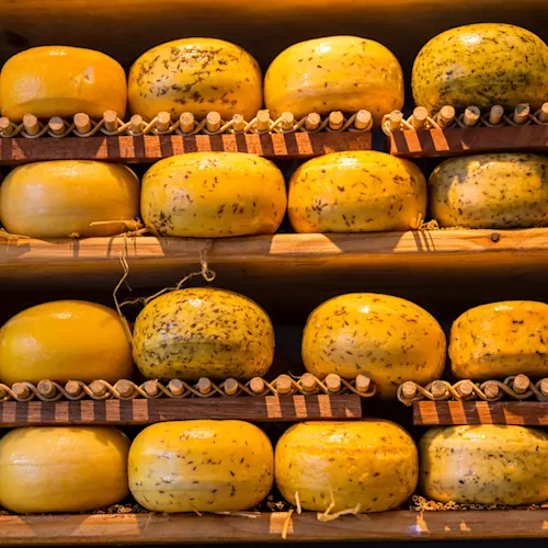 Amsterdam-cheese-_expatexplore