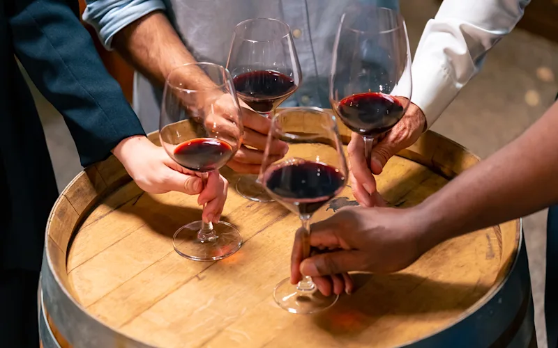 chile-heritage-wine-pairing-optional-excurison