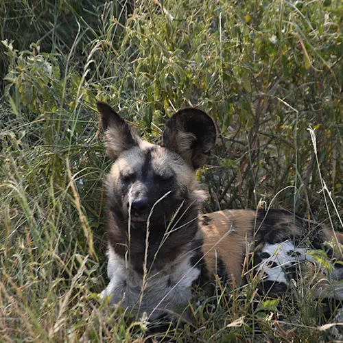 South-Africa-Tour-Expat-Explore-5