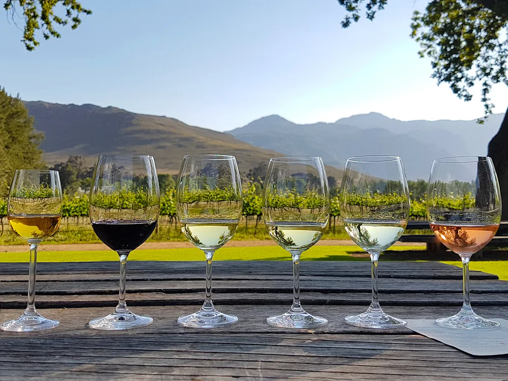 wine-tasting-south-africa-swiper-hero-gallery
