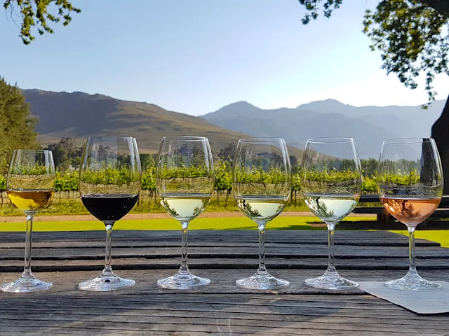 wine-tasting-south-africa-swiper-hero-gallery