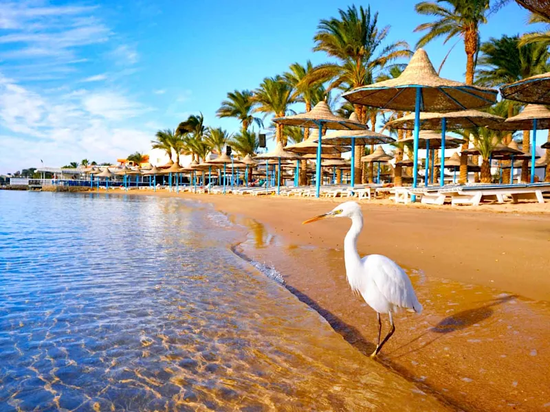 day6-egypt-hurghada-red-sea-view