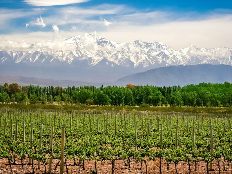 Mendoza-winelands-in-Argentina