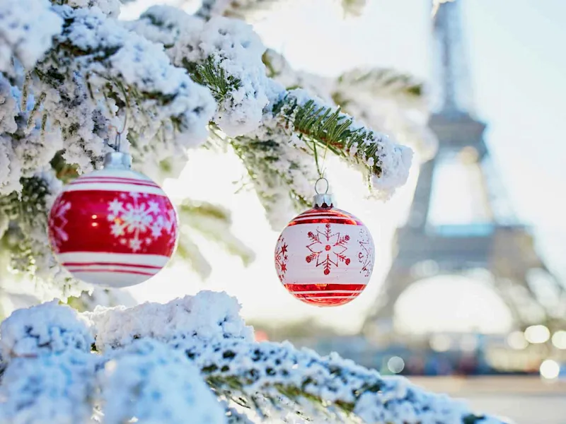 day2-paris-christmas-tree-covered-snow-decorated