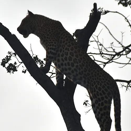 South-Africa-Tour-Expat-Explore-11