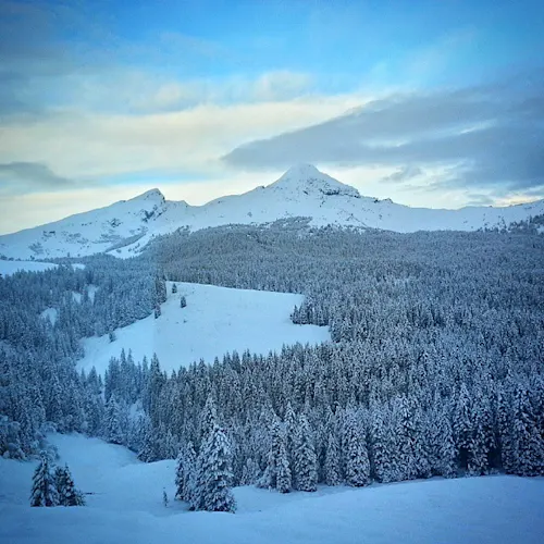 swiss-alps-switzerland-5-Instagram-_timthetourmansayer