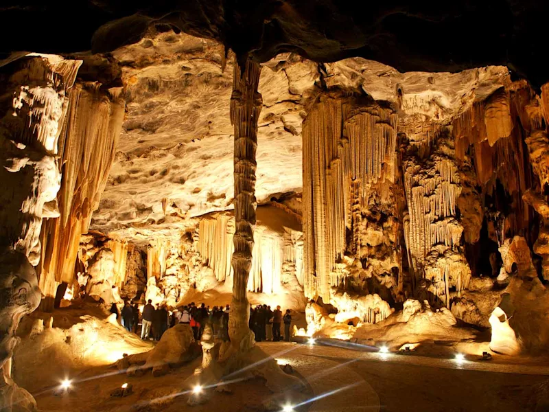 day8-fruit-route-62-oudtshoorn-ostrich-farm-cango-caves-excursion-cape-town-and-the-garden-route-tour