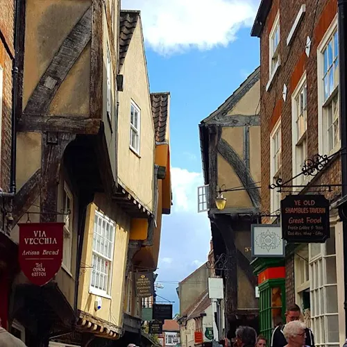 York-_scouserontour