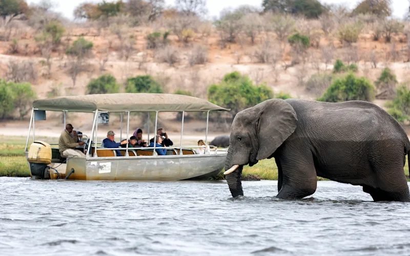 chobe-day-trip-optional-excursion
