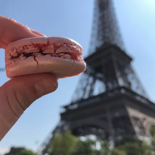 Paris-_hayleaustin