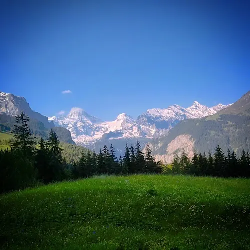 Jungfrau-3