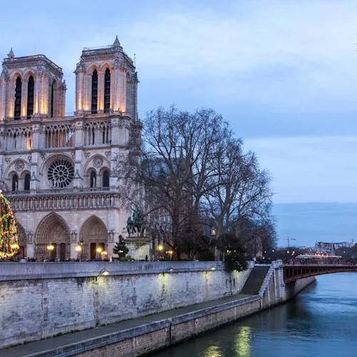 notre-dame-paris-france-christmas-tree-dusk