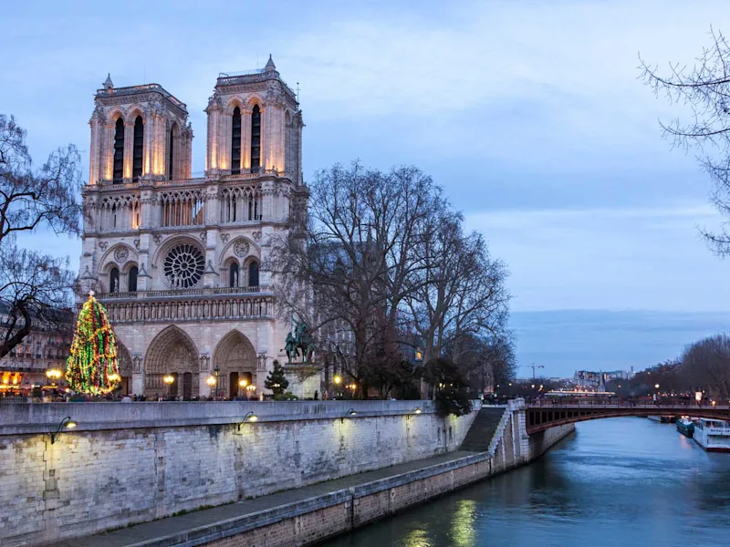 notre-dame-paris-france-christmas-tree-dusk