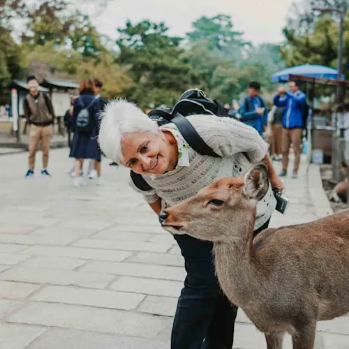 Lovely middle-aged-woman-playing-with-a-deer-of-Nara-Nara-prefecture-natural-park-around-the-Todai-ji-temple