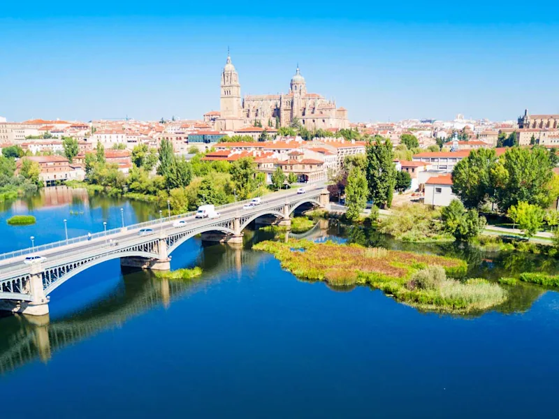 Salamanca-Cathedral-Gothic-Baroque-catehdral-Salamanca-city-Spain
