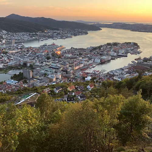 Bergen- aliwalker 1994