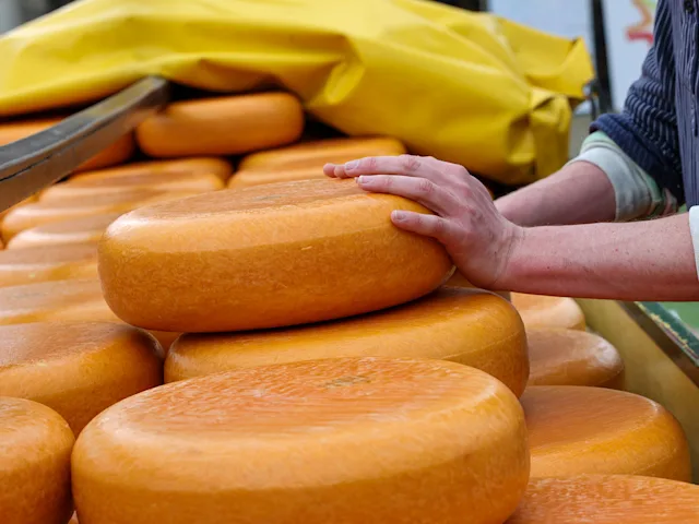 dutch-cheese-gouda-netherlands-swiper-hero-gallery