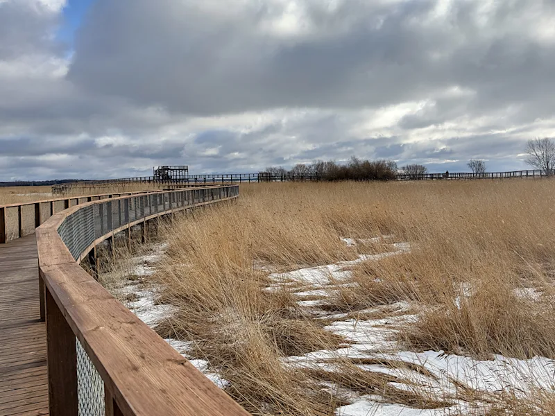parnu-estonia-winter-beach