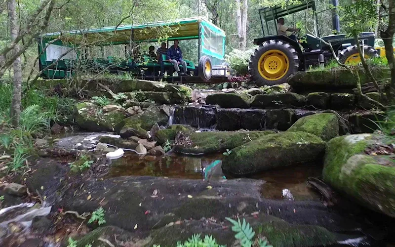 tsitsikama-game-drive