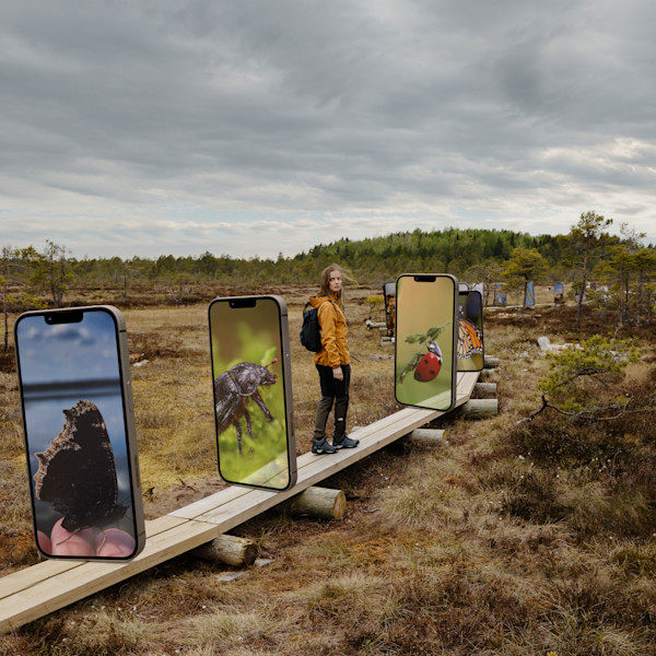 Pysäytetään puhelimien liikakansoitus