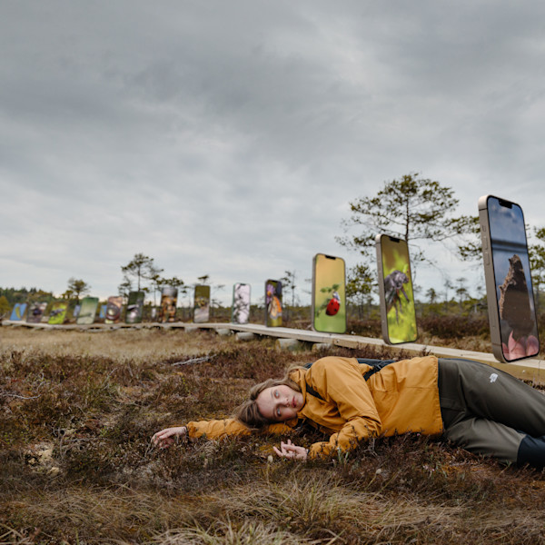 Pysäytetään puhelimien liikakansoitus