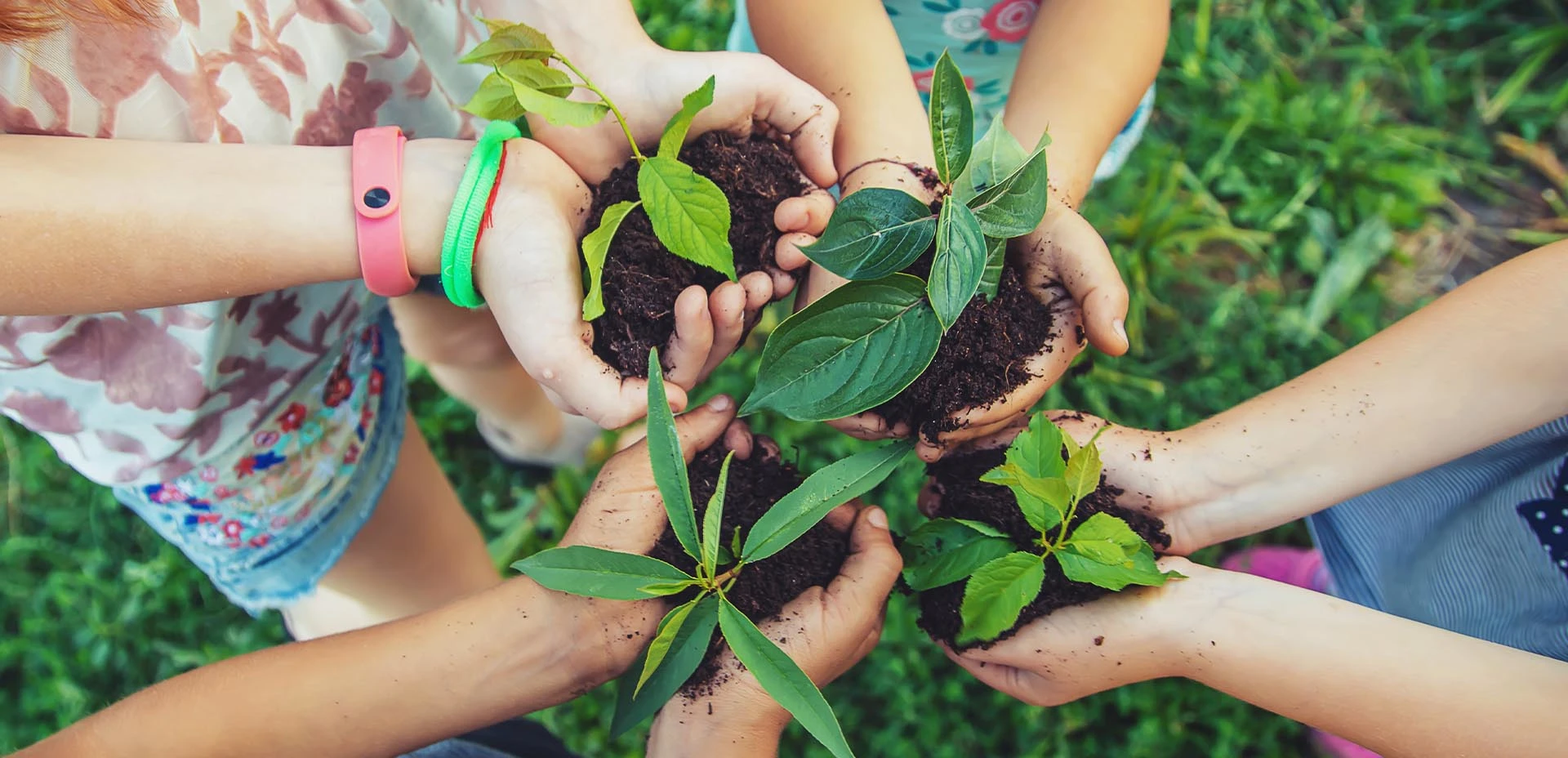 Family practicing sustainable gardening