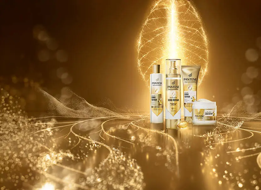 Toda la gama de Bond Repair